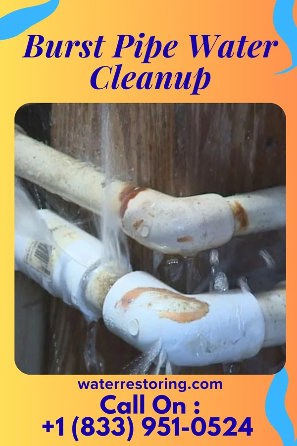 Burst Pipe Water Cleanup in Hanahan, SC