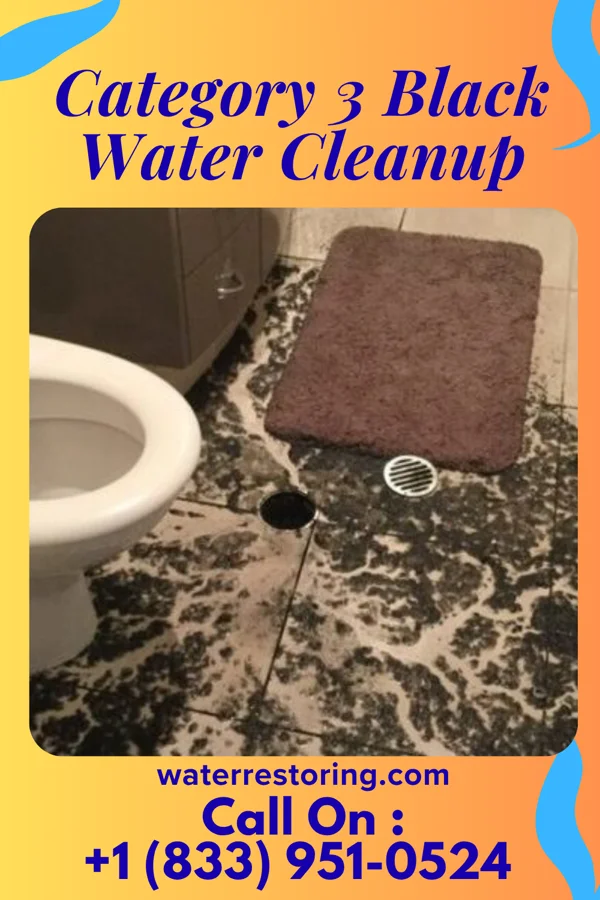 Category 3 Black Water Cleanup in Hanahan, SC