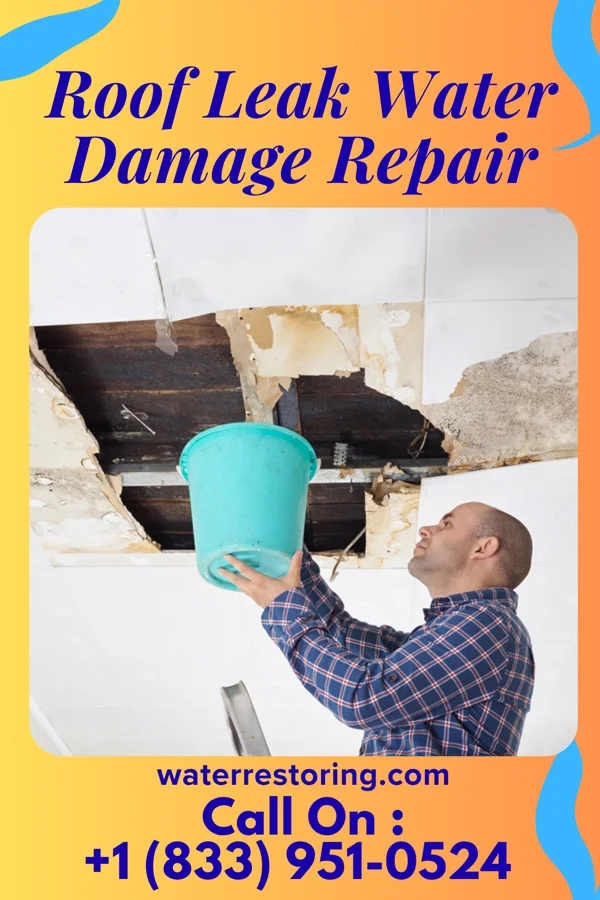 Roof Leak Water Damage Repair in Hanahan, SC