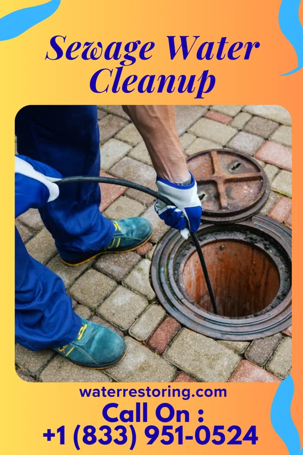 Sewage Water Cleanup in Hanahan, SC