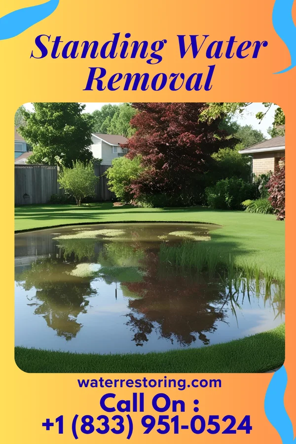 Standing Water Removal in Hanahan, SC